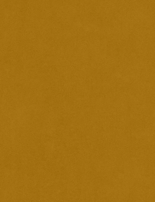 LOFT Dining Tables & Chairs Set Of 2 Velvet Dining Chairs 19 LOFT Dining Tables & Chairs Set Of 2 Velvet Dining Chairs - Image 19